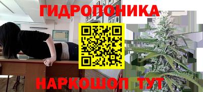 сатива Бузулук