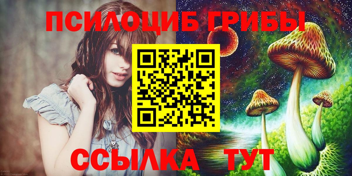 Псилоцибиновые грибы Psilocybe  Вход с VPN  Луга 